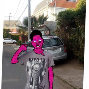 Meet your Posher, Max